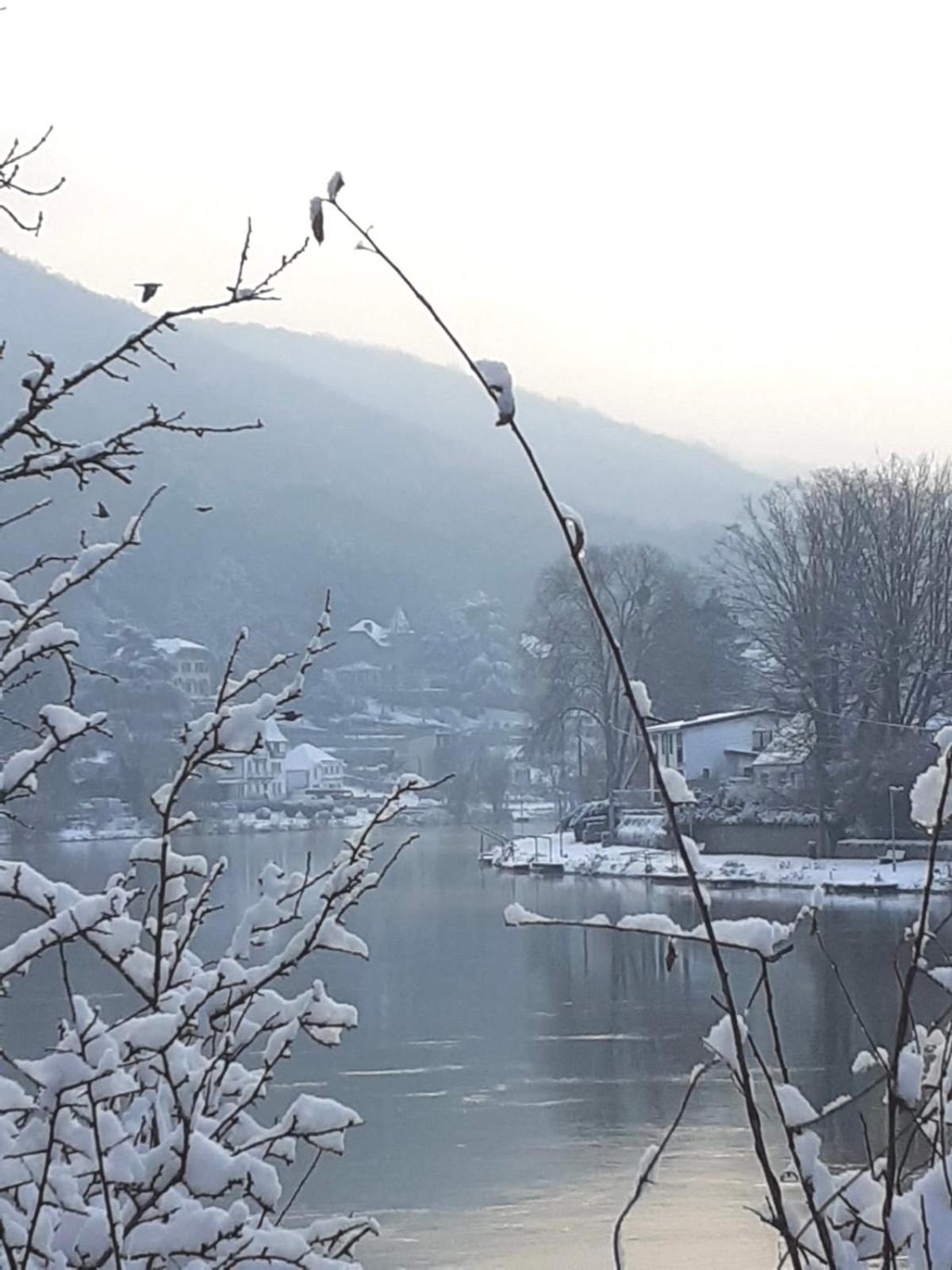 Vila Pieds Dans L'Eau Private Wellness Bordure De Meuse Lustin Exteriér fotografie