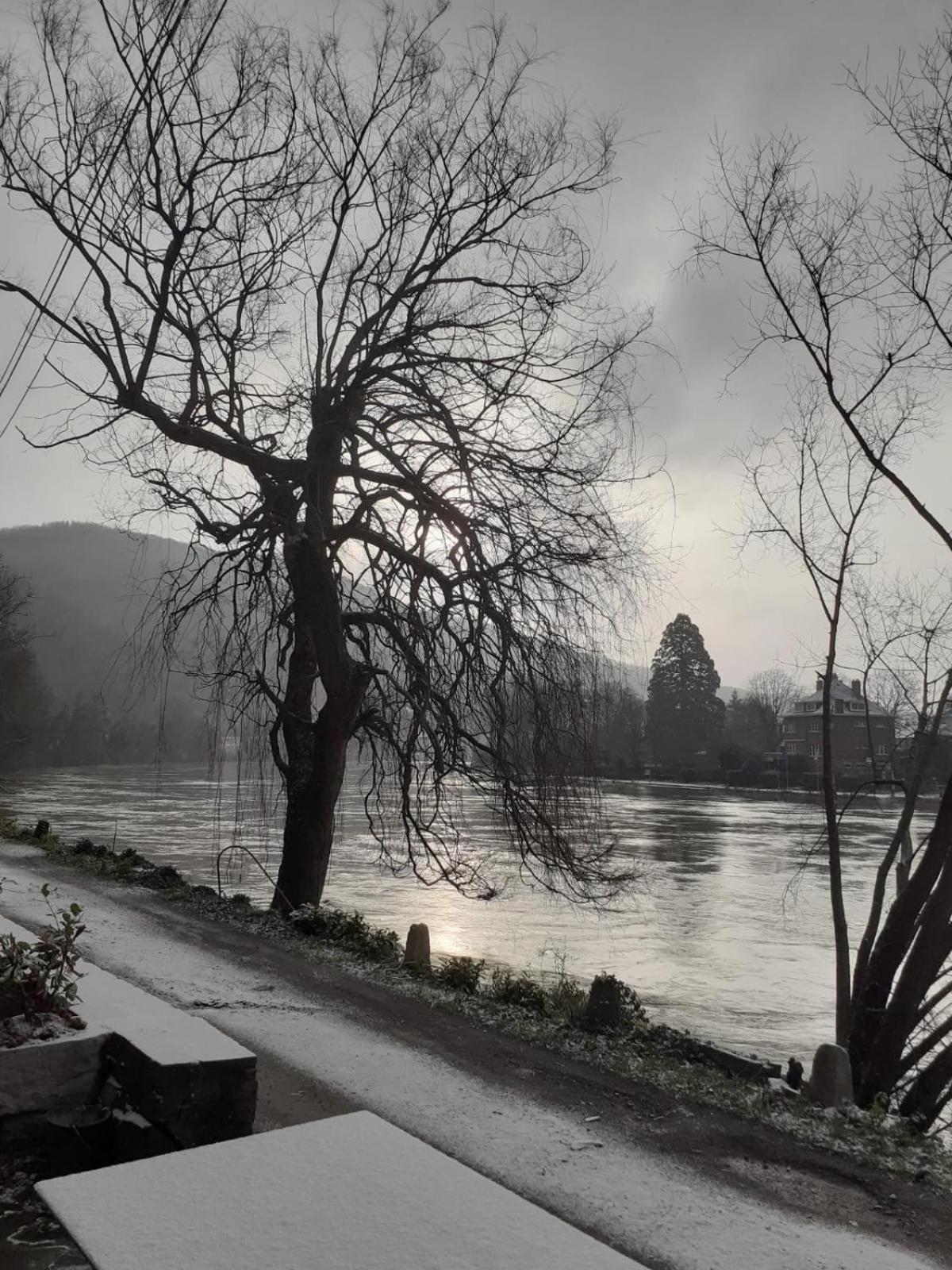 Vila Pieds Dans L'Eau Private Wellness Bordure De Meuse Lustin Exteriér fotografie