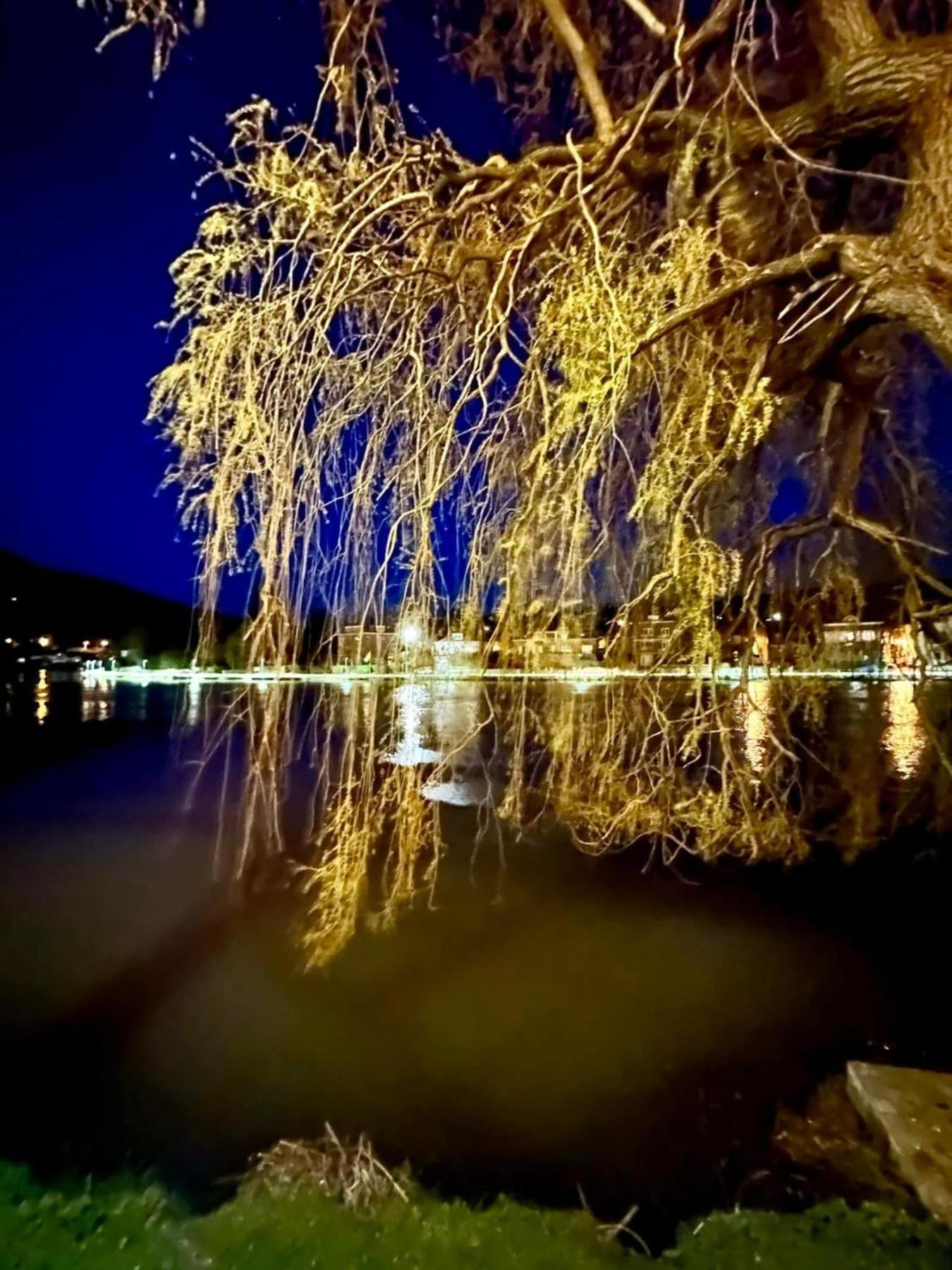 Vila Pieds Dans L'Eau Private Wellness Bordure De Meuse Lustin Exteriér fotografie